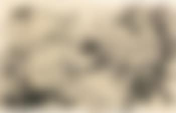 Pelea con Machetes (preview)