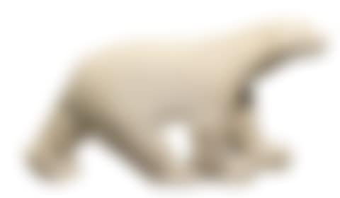 OURS BLANC (preview)