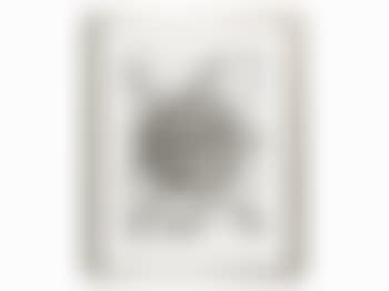Untitled (preview)
