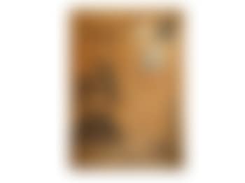 Graffiti Door, 'Thug Lovin' (preview)