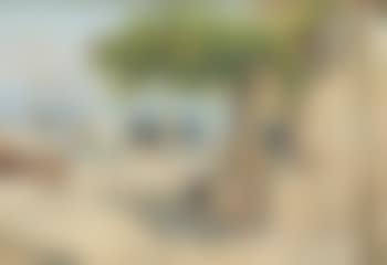 Barche a secco (preview)