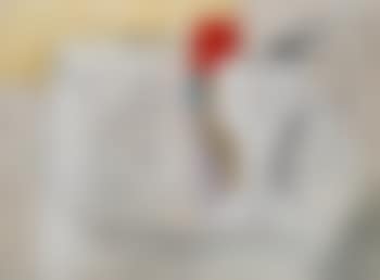Still Life, June 16-47 (preview)