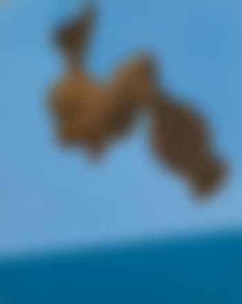 Monument Aux Oiseaux (preview)
