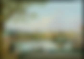 An extensive album of 56 Chinese export paintings (preview)