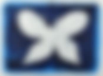 Night Sky Butterfly (preview)