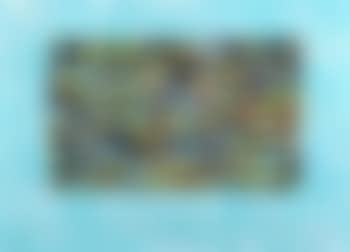 Reflection on Pebbles (preview)
