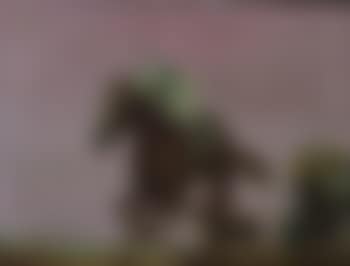 Untitled (Jockey) (preview)
