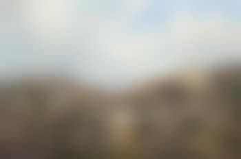 Red grouse amongst the heather (preview)