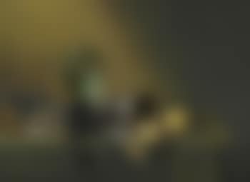 A Still Life of a Roemer (preview)