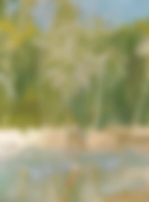 PELICAN (preview)