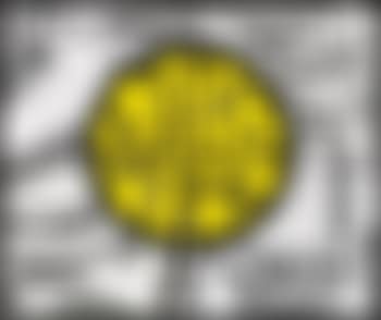 Piss City (preview)