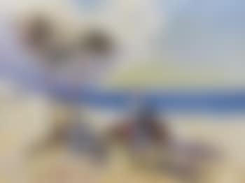 Donkey (preview)