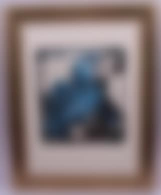 Zwei blaue Aras (preview)