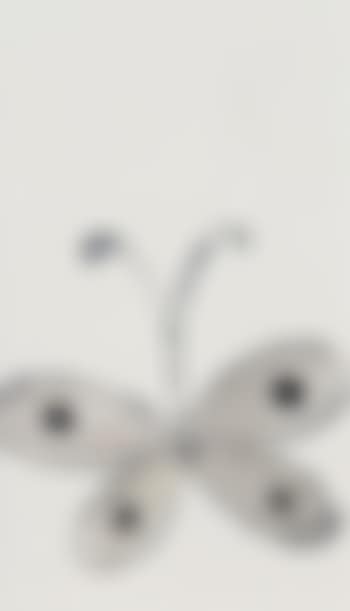 Butterfly (preview)