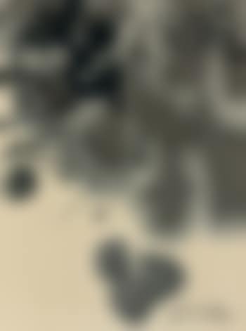 Composition (preview)