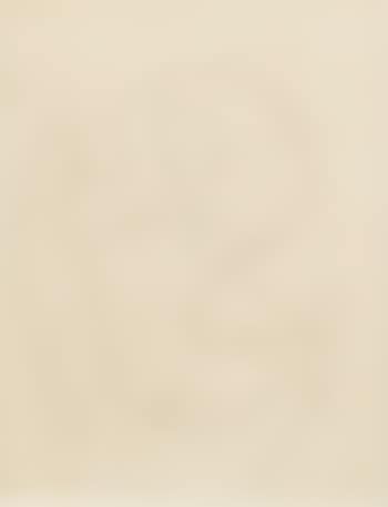 Ohne titel (preview)