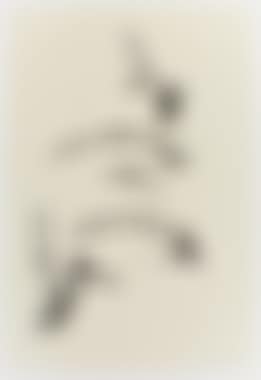 Drawing #11 (preview)