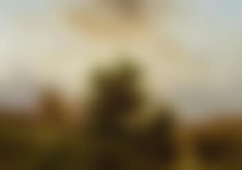 Flusslandschaft (preview)