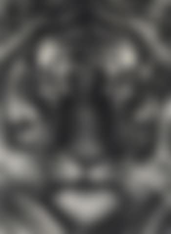 Untitled (Last Tiger) (preview)