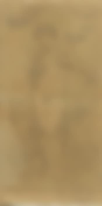 A Standing Female Nude Surrounded By Doves (preview)
