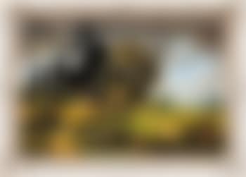 Study for Happy Choppers (preview)
