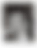 Palais de quatre heures, The Dadaists (preview)