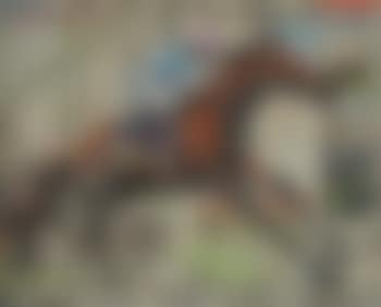 Frankel, flawless at York (preview)