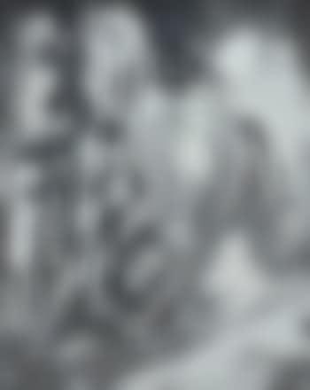 White horse (preview)
