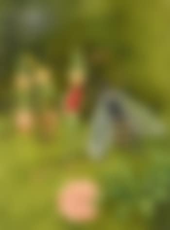 Complete Set Of Illustrations For 'Chimney Town' From Chimney Town (preview)