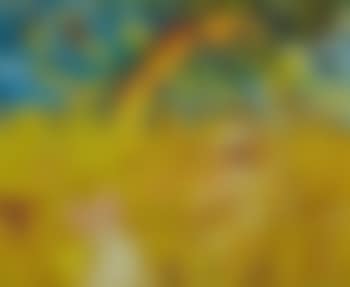Rainbow and Wheatfield (preview)