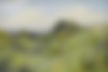 The maid on the hill (preview)