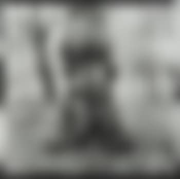 L'arbre fou (preview)