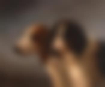 Pointers (preview)