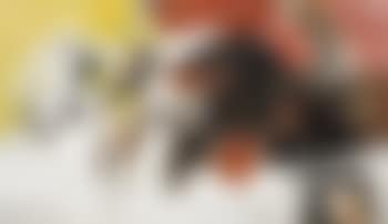 Sans titre (preview)