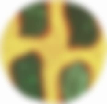 Senza titolo (preview)