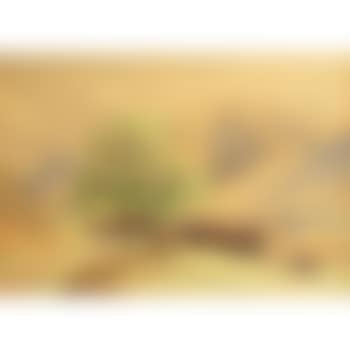 A lake district Farmstead (preview)