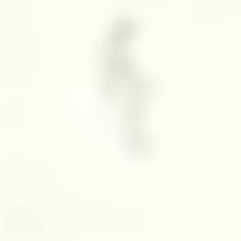 Seated Nude In Profile (preview)