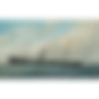 The S.S. Orizaba of the ward line at sea (preview)