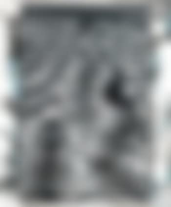 Zebra carpet, Lariak estate, Laikysia, for the end of the game last word from paradise (preview)
