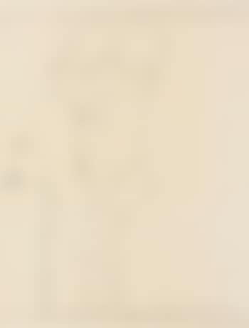 Erotische Szene (preview)