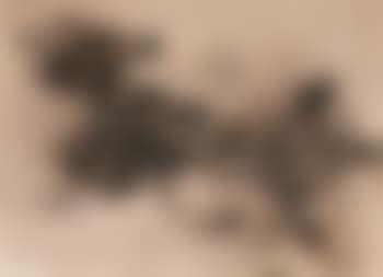 Abstract composition (preview)