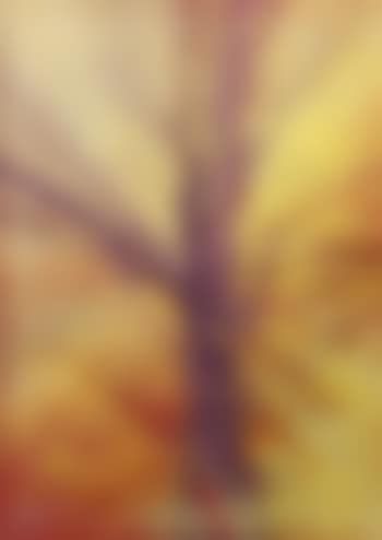 Untitled (Zoom Tree) (preview)