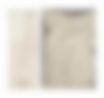 An allegory of procreation; Untitled (preview)