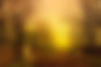 Golden Autumn (preview)