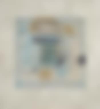 1980 (Still life moving) (preview)