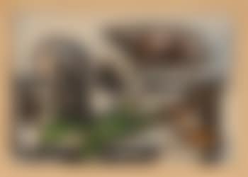 Nature Morte au Crane (preview)