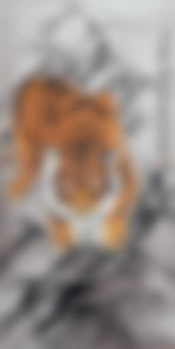Tiger (preview)