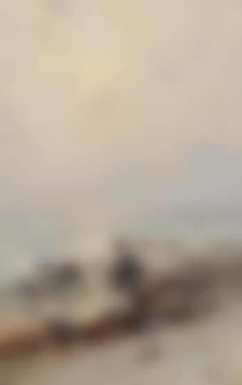 Weite Küstenlandschaft (preview)