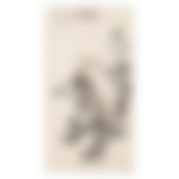 Bamboo and Sparrows (preview)