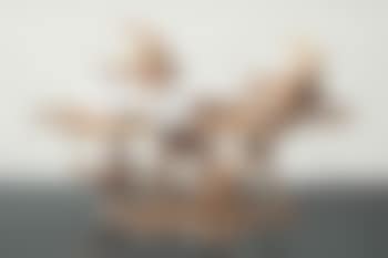 'Becasseaux' A Centerpiece (preview)